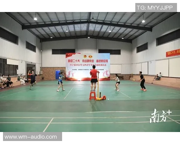 北京羽毛球队的节奏革新探索与实践：重塑竞技风格与团队协作新模式