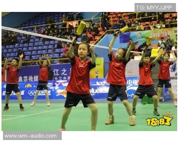 深圳羽毛球队在全国耐力排行榜中荣获第四名展现出强大实力与潜力